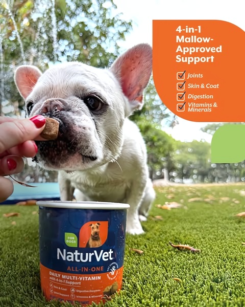 A close-up lifestyle shot of a dog being fed a supplement, accompanied by a clear, four-point benefit checklist for pet owners.